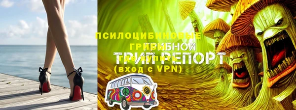 СК Абаза